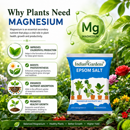 Epsom Crystals Salt Fertilizer For Plants