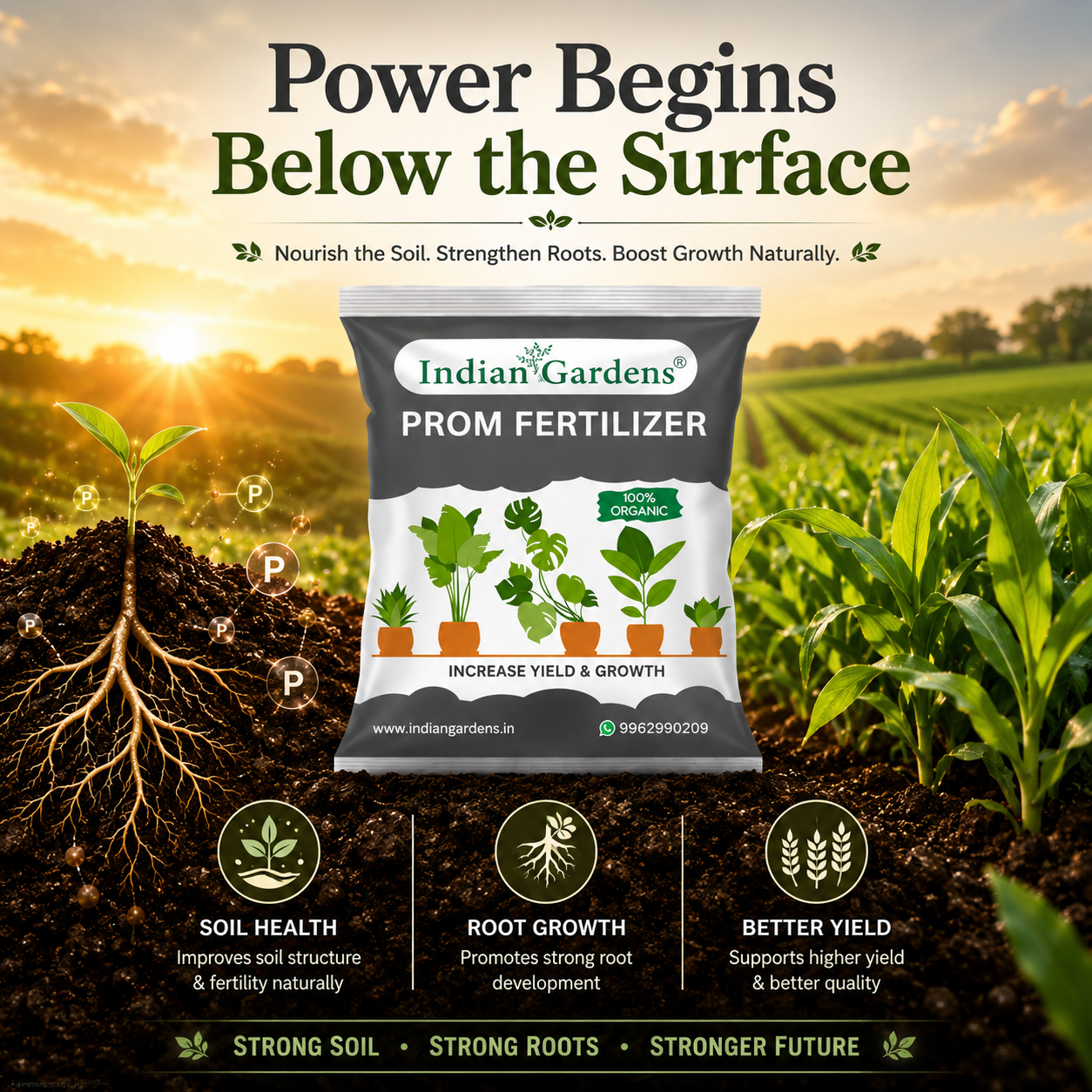 Prom Fertilizer For Plants | Plant Nutrient And Plant Food | All Plants | Gardening