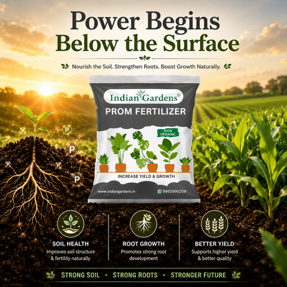 Prom Fertilizer For Plants | Plant Nutrient And Plant Food | All Plants | Gardening