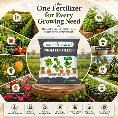 Prom Fertilizer For Plants | Plant Nutrient And Plant Food | All Plants | Gardening