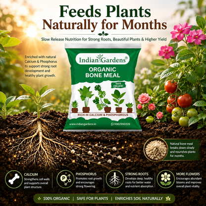 Bone Meal Powder 100% Organic Plant fertilizer | Rich in Calcium and Phosphorus | Plant Fertilizer | Home Gardening