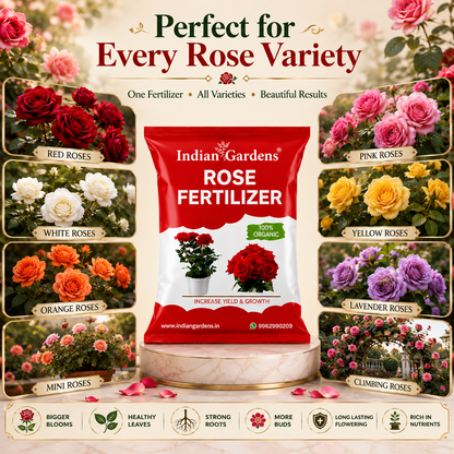 Rose Fertilizer | Rose Plant Food For Flowering Plants | Flower Booster