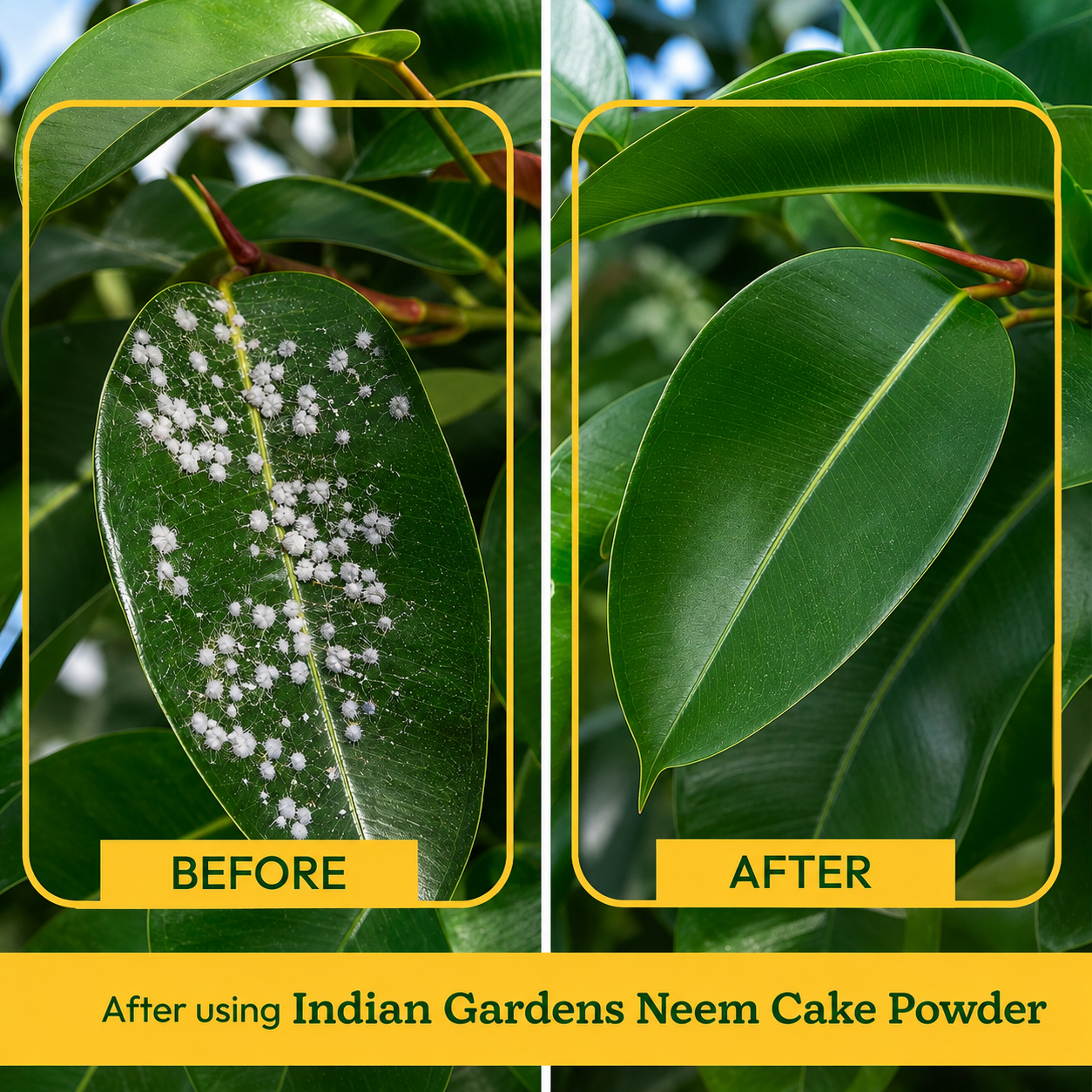 Neem cake powder 100% organic fertilizer for plants