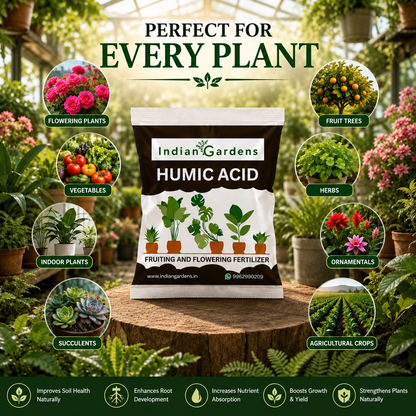Humic acid fertilizer for plants