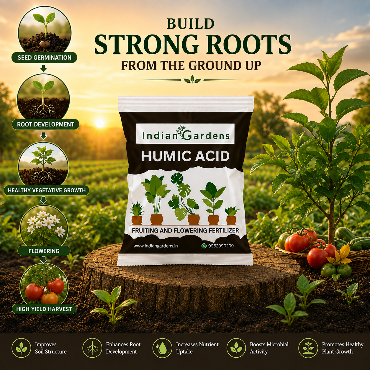 Humic acid fertilizer for plants