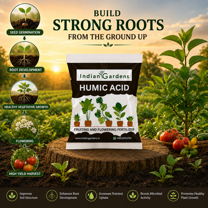 Humic acid fertilizer for plants