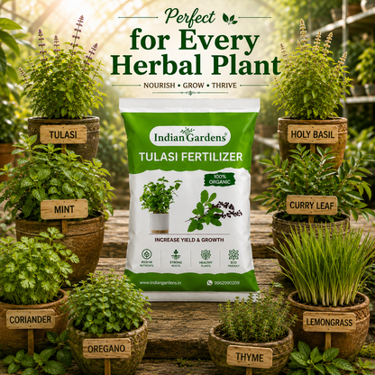 Tulasi Fertilizer  | Holy Basil Fertilizer | Tulasi Growth Fertilizer | Tulasi Organic Plant Food | Tulasi Leaf Health Fertilizer
