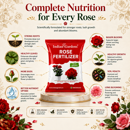 Rose Fertilizer | Rose Plant Food For Flowering Plants | Flower Booster