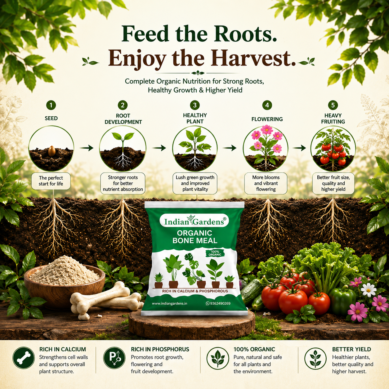 Bone Meal Powder 100% Organic Plant fertilizer | Rich in Calcium and Phosphorus | Plant Fertilizer | Home Gardening