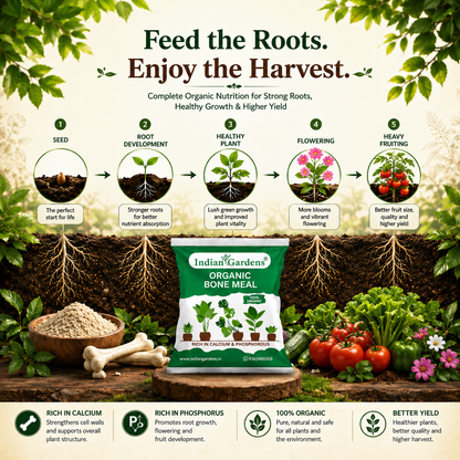 Bone Meal Powder 100% Organic Plant fertilizer | Rich in Calcium and Phosphorus | Plant Fertilizer | Home Gardening