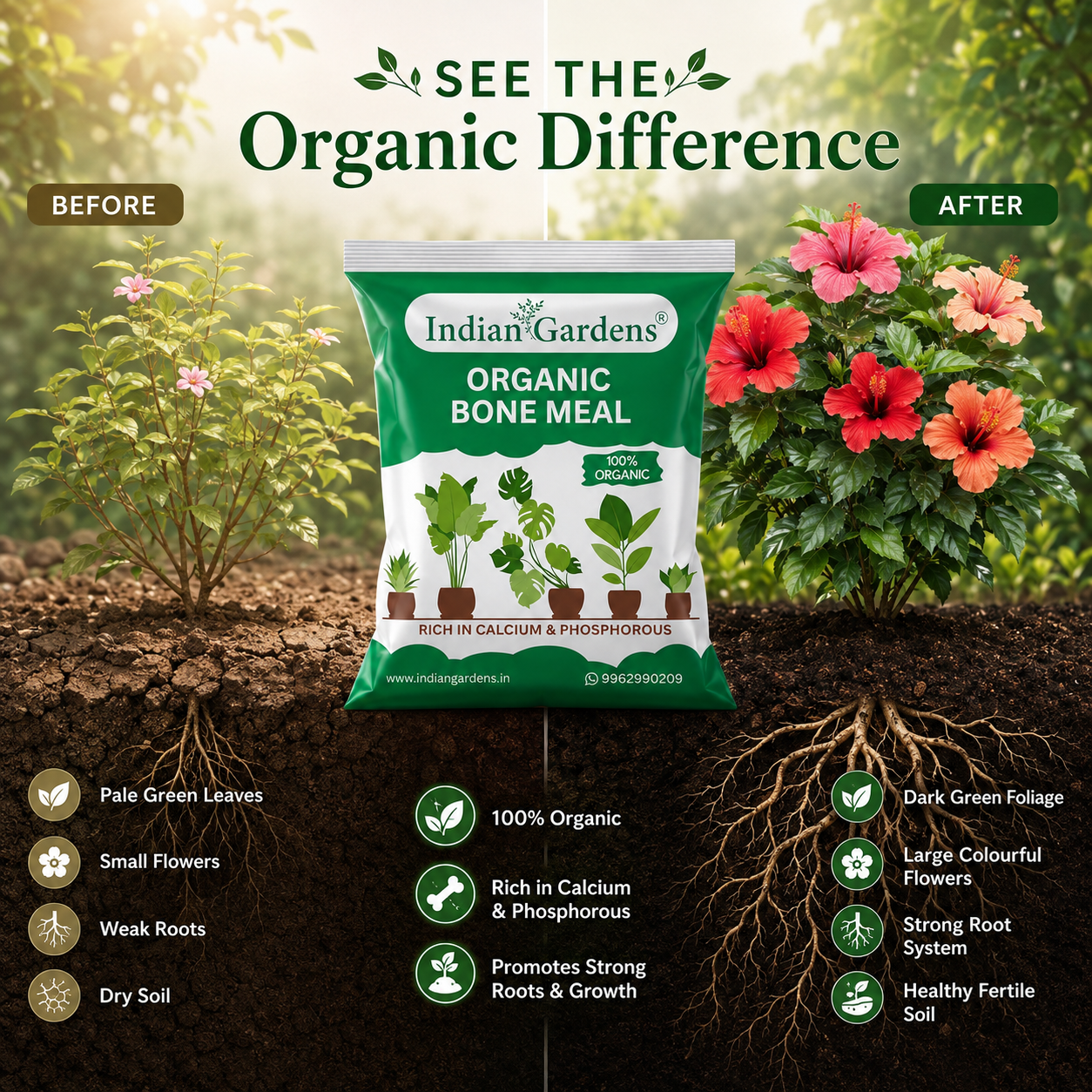 Bone Meal Powder 100% Organic Plant fertilizer | Rich in Calcium and Phosphorus | Plant Fertilizer | Home Gardening