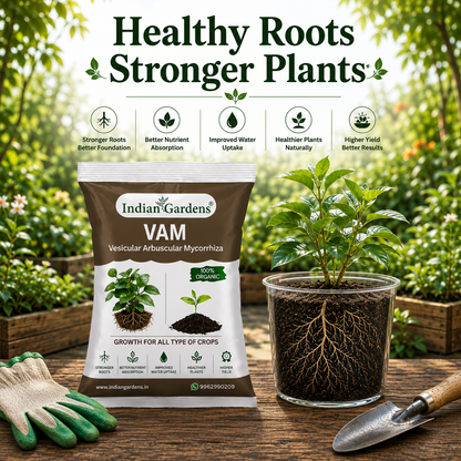 VAM (Vesicular Arbuscular Mycorrhiza) Bio fertilizer for All Plants | Root Growth Booster | Organic Plant Food