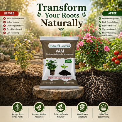 VAM (Vesicular Arbuscular Mycorrhiza) Bio fertilizer for All Plants | Root Growth Booster | Organic Plant Food