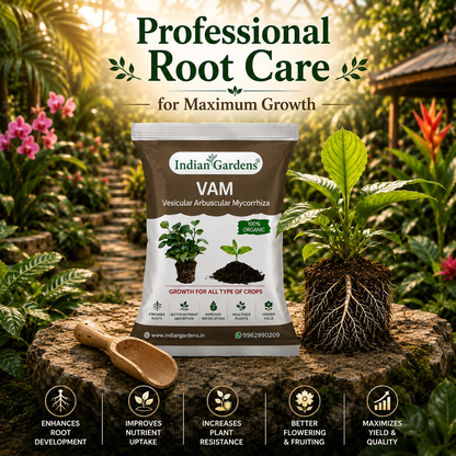 VAM (Vesicular Arbuscular Mycorrhiza) Bio fertilizer for All Plants | Root Growth Booster | Organic Plant Food