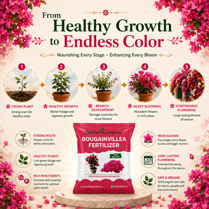Bougainvillea Fertilizer | Flowering Plant Fertilizer | Slow-Release Plant Food | Organic Fertilizer