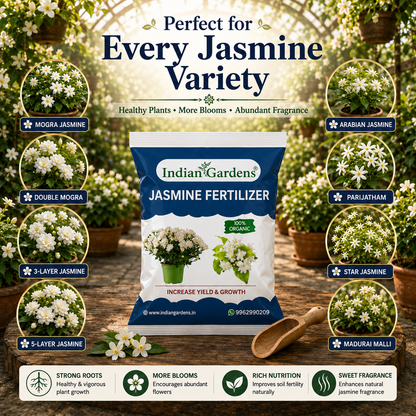 Jasmine Fertilizer for plants