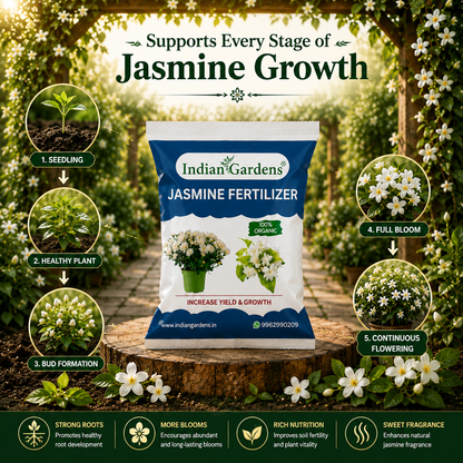 Jasmine Fertilizer for plants