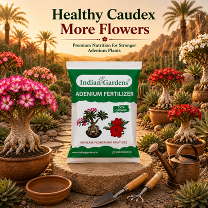 Adenium fertilizer