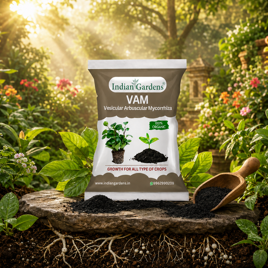 VAM (Vesicular Arbuscular Mycorrhiza) Bio fertilizer for All Plants | Root Growth Booster | Organic Plant Food