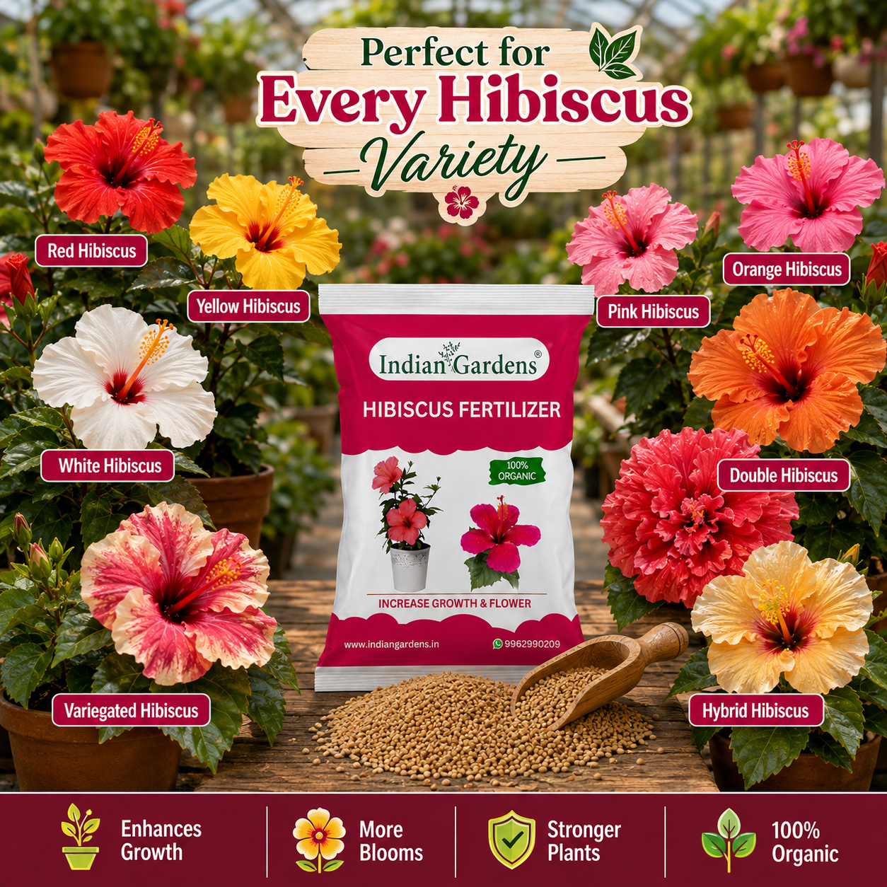 Hibiscus Fertilizer | Flowering Plant Fertilizer |Organic Plant Food For Flowering | Healthy Stems And Strong Roots