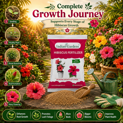 Hibiscus Fertilizer | Flowering Plant Fertilizer |Organic Plant Food For Flowering | Healthy Stems And Strong Roots