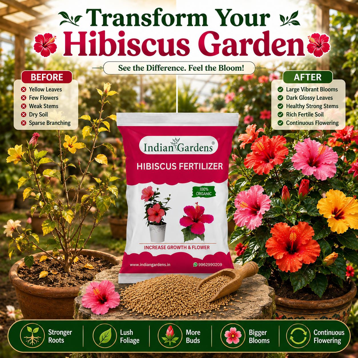 Hibiscus Fertilizer | Flowering Plant Fertilizer |Organic Plant Food For Flowering | Healthy Stems And Strong Roots