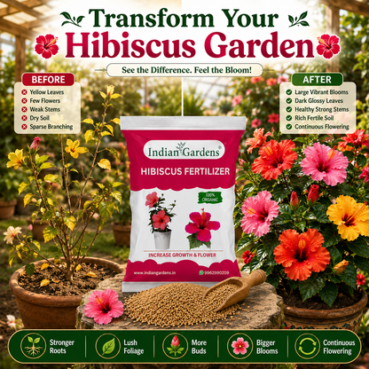 Hibiscus Fertilizer | Flowering Plant Fertilizer |Organic Plant Food For Flowering | Healthy Stems And Strong Roots