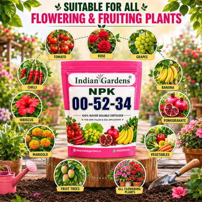 NPK 00:52:34 Water Soluble Fertilizer