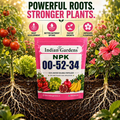 NPK 00:52:34 Water Soluble Fertilizer
