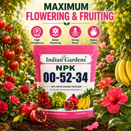 NPK 00:52:34 Water Soluble Fertilizer