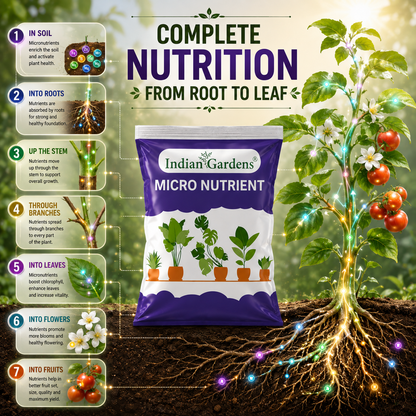 Micro Nutrient Fertilizer | Soil Applicant | Premium Essential Plant Food | Home Gardens for All Plants