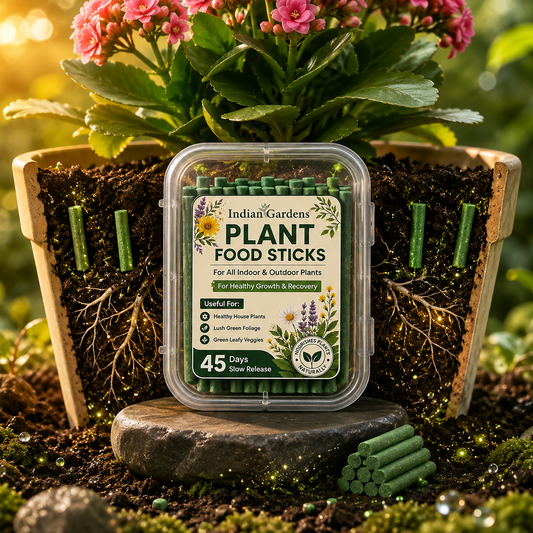 Plant Food Sticks (Pack of 40)