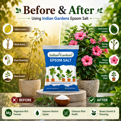 Epsom Crystals Salt Fertilizer For Plants