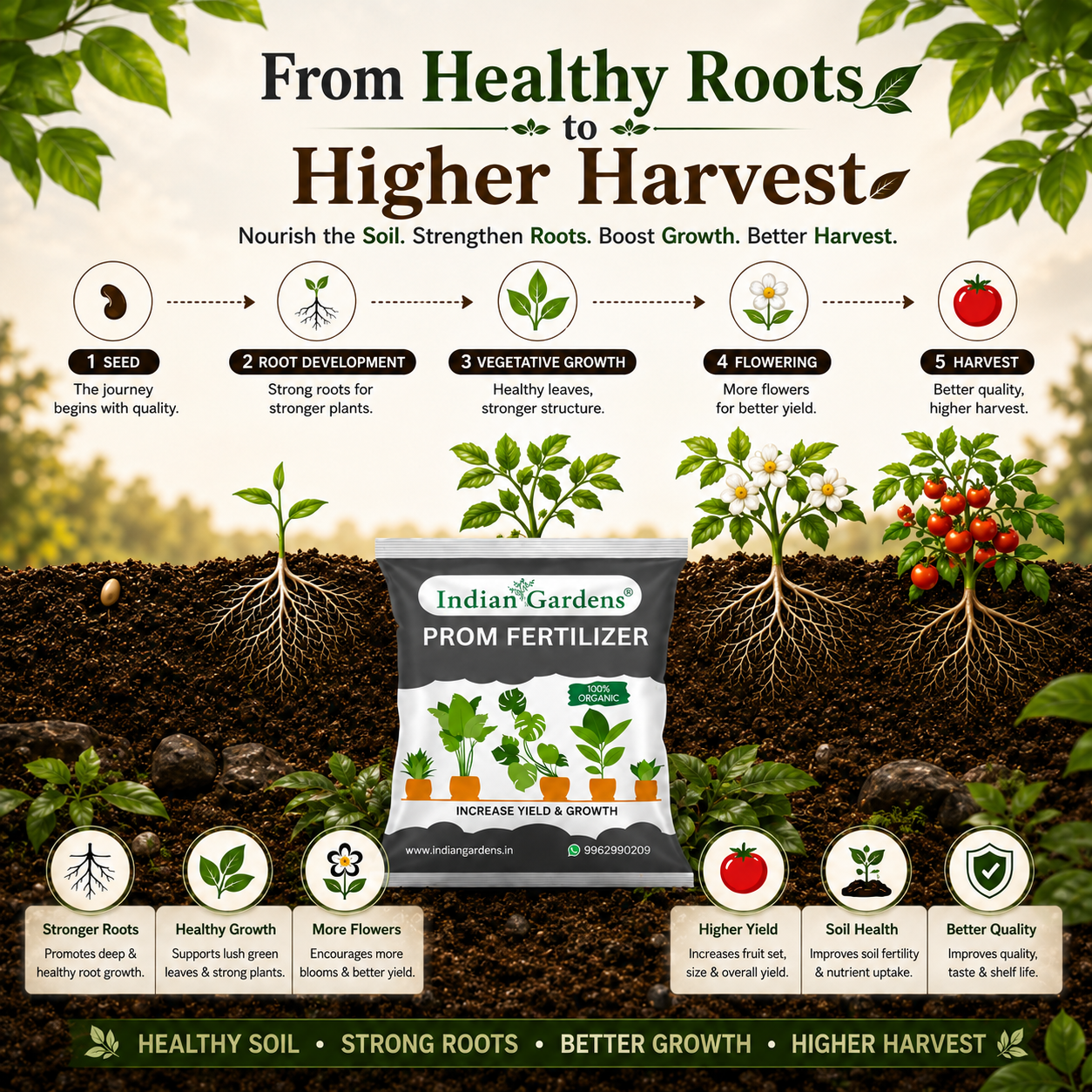 Prom Fertilizer For Plants | Plant Nutrient And Plant Food | All Plants | Gardening