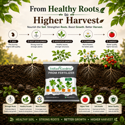 Prom Fertilizer For Plants | Plant Nutrient And Plant Food | All Plants | Gardening