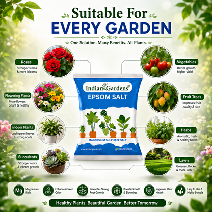 Epsom Crystals Salt Fertilizer For Plants