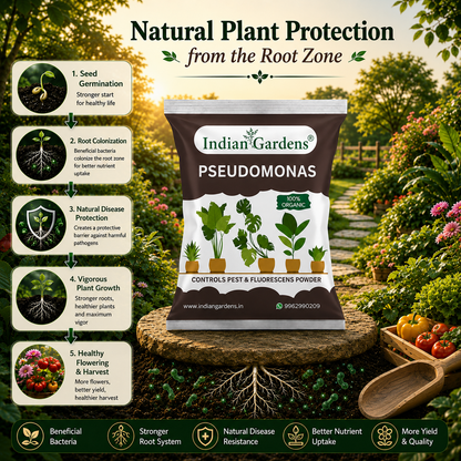 Pseudomonas Plant fertilizer | Soil health booster | Pseudomonas fluorescens |Chemical-free plant food
