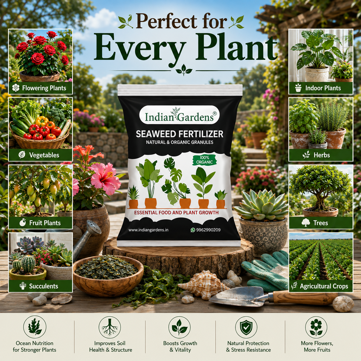 Seaweed Fertilizer