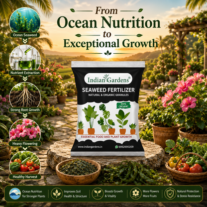 Seaweed Fertilizer
