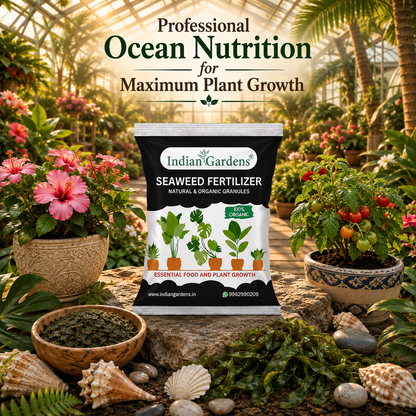 Seaweed Fertilizer