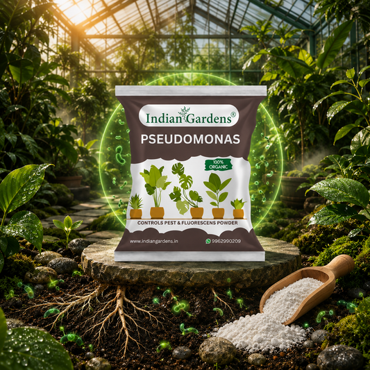 Pseudomonas Plant fertilizer | Soil health booster | Pseudomonas fluorescens |Chemical-free plant food