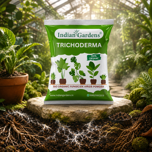 Trichoderma plant fertilizer | Trichoderma Compost Enhancer | Root Booster Fertilizer | Eco-Friendly Growth Stimulator