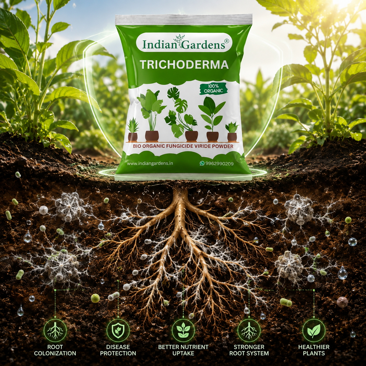 Trichoderma plant fertilizer | Trichoderma Compost Enhancer | Root Booster Fertilizer | Eco-Friendly Growth Stimulator