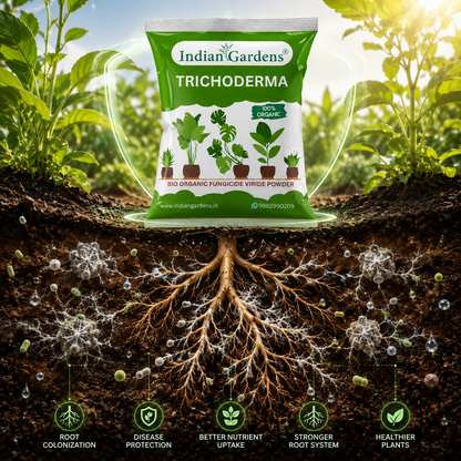 Trichoderma plant fertilizer | Trichoderma Compost Enhancer | Root Booster Fertilizer | Eco-Friendly Growth Stimulator