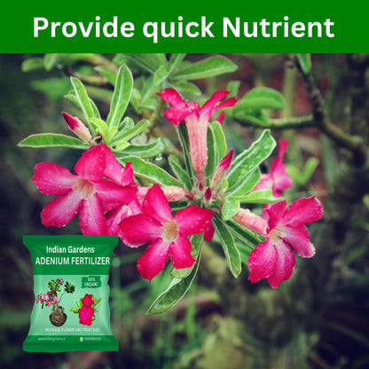 Adenium fertilizer - 5 Kg