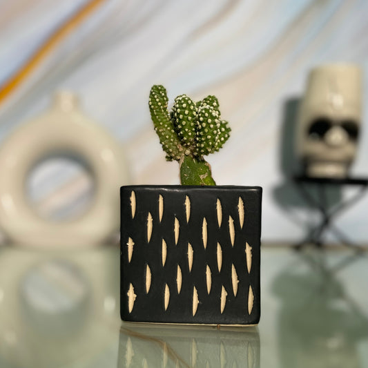 Ceramic Square Black Colour Pot Home, Indoor Décor & Gifting
