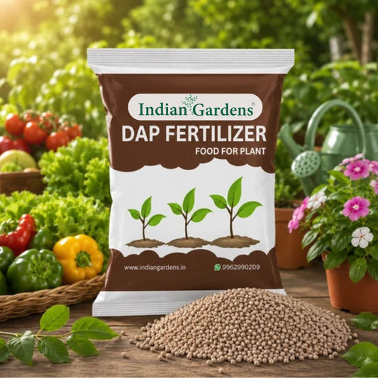 Organic Dap Fertilizer