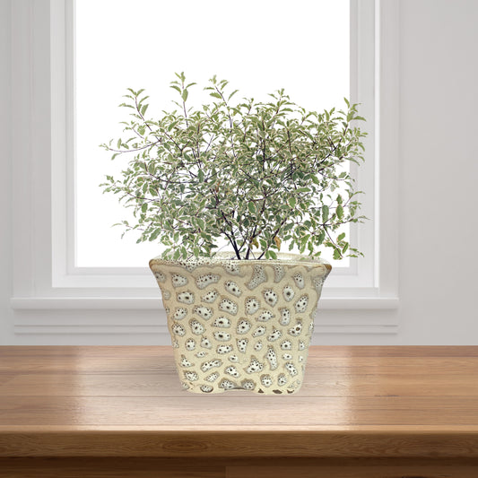 Ceramic Square White Colour Pot Home, Indoor Décor & Gifting