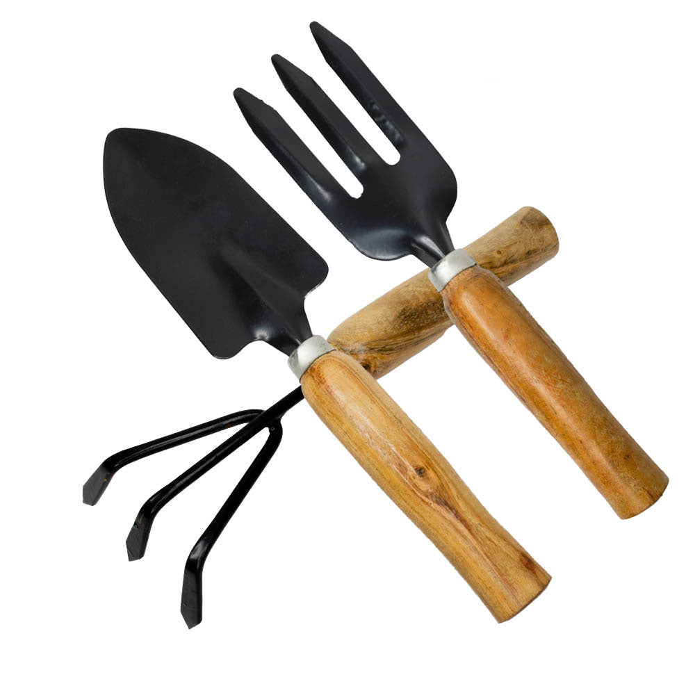 Mini Garden Tool ( Set of 3 )