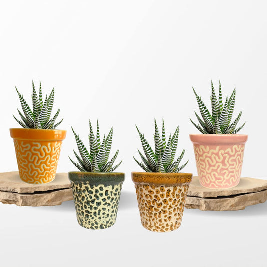 Ceramic different Colour Pot ( Set of 4 ) Home, Indoor Décor & Gifting